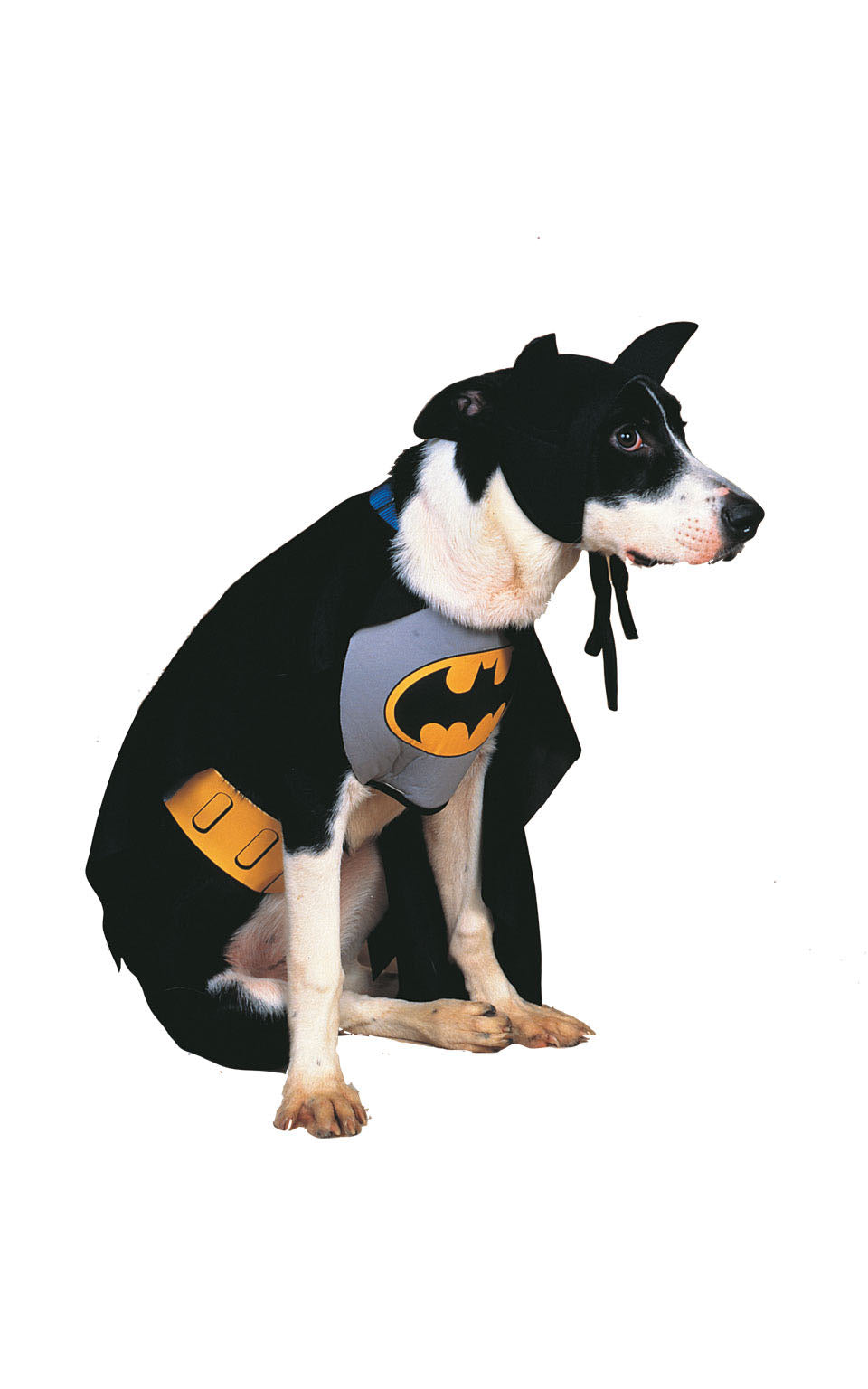Batman Pet Costume
