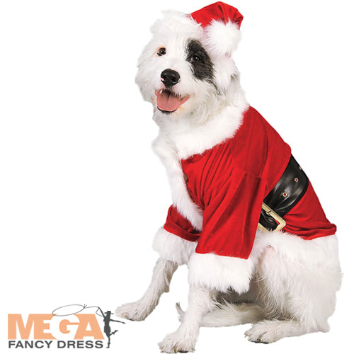 Santa Claus Pet Dog Costume