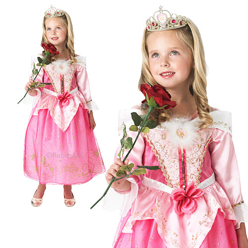 Anniversary Sleeping Beauty Costume