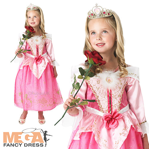 Anniversary Sleeping Beauty Costume