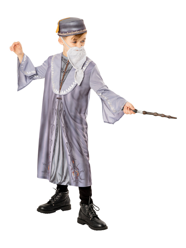 Boys Dumbledore Harry Potter Robe World Book Day Character Costume