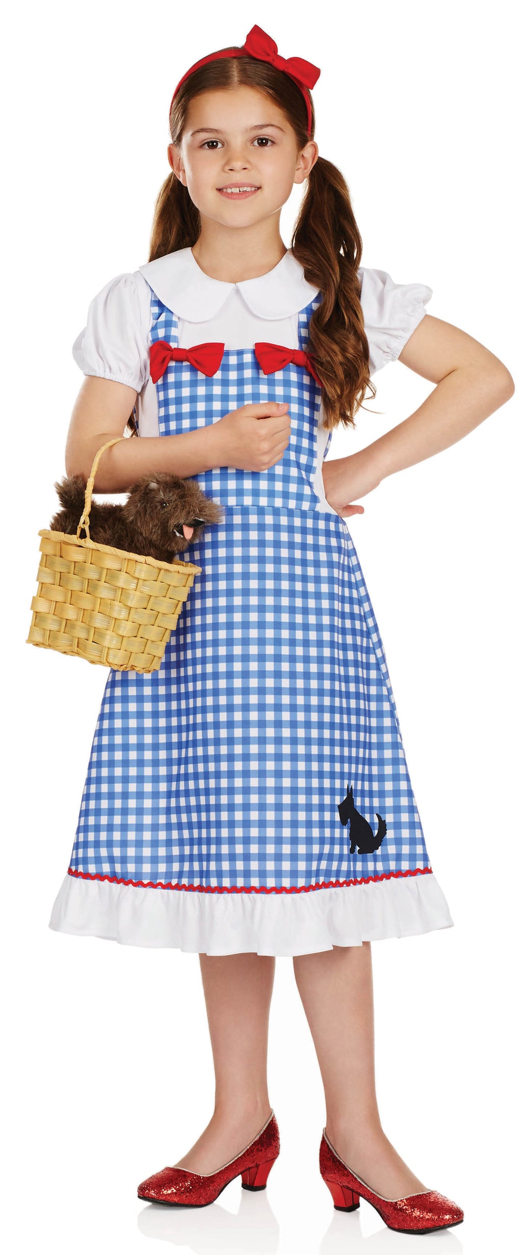 Girls Dorothy Fairytale World Book Day Costume