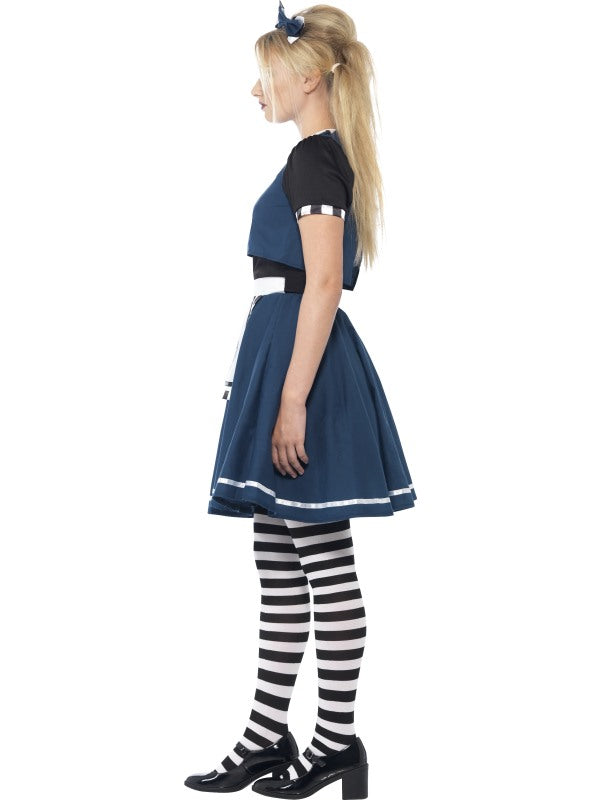 Enchanting Dark Day Dreamer Ladies Costume