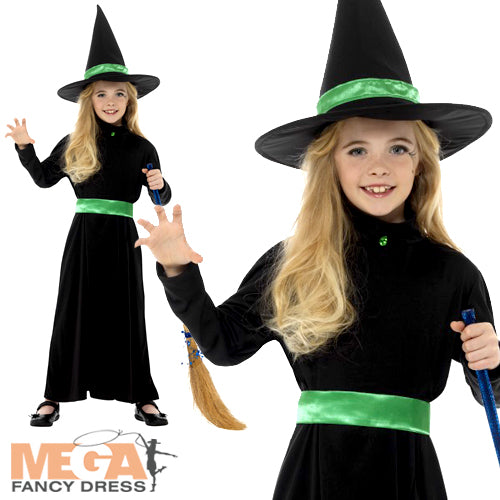 Bewitching Wicked Witch Fancy Dress Costume