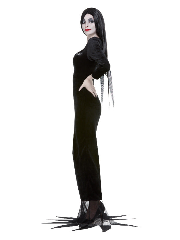 Morticia Addams Family Costume TV Show Outfit
