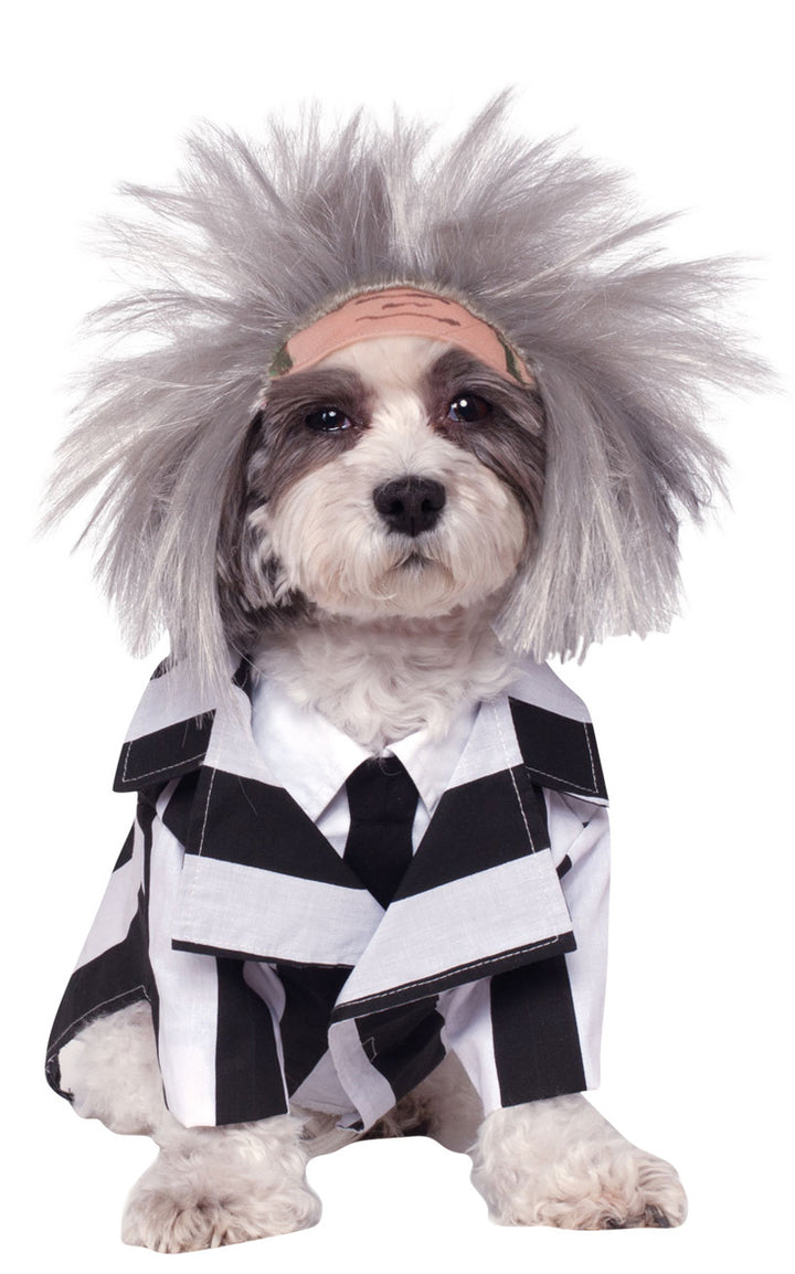 Beetlejuice Dog Costume Pet Halloween Outfit
