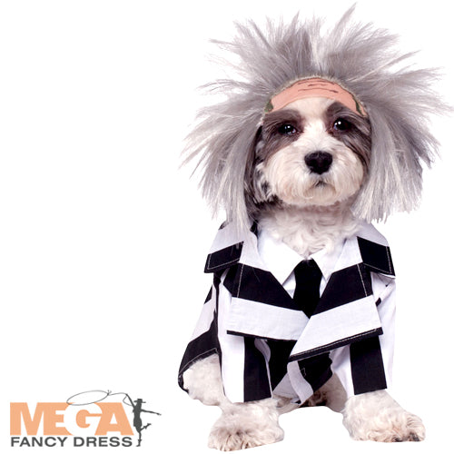 Beetlejuice Dog Costume Pet Halloween Outfit