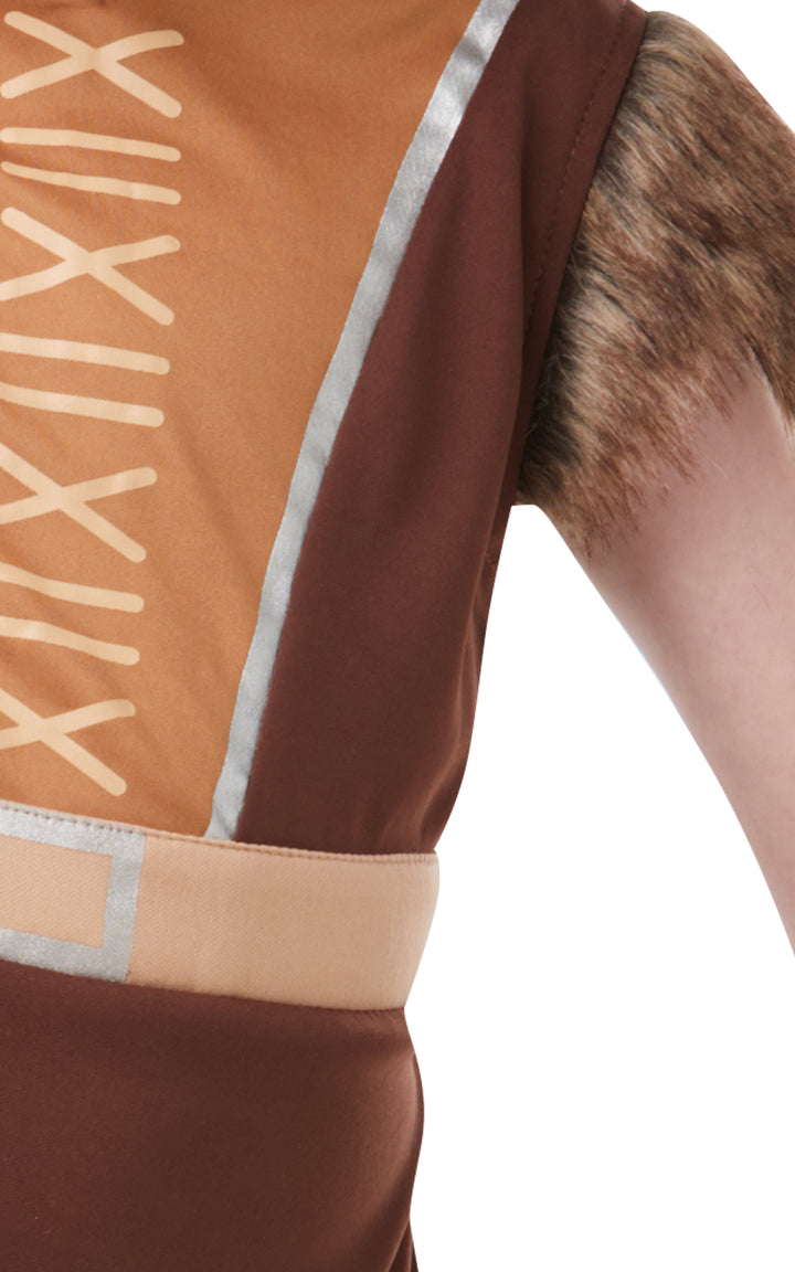 Boys Viking Saxon Warrior Book Day Costume