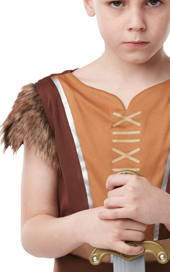 Boys Viking Saxon Warrior Book Day Costume