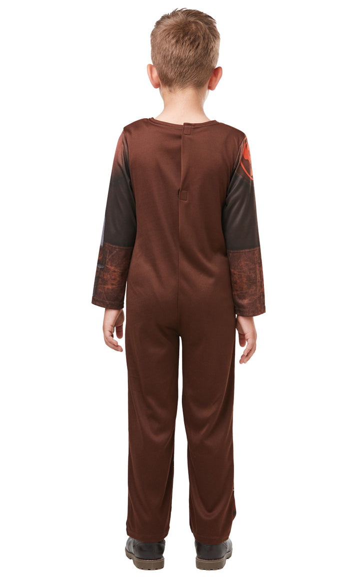 Hiccup Boys Costume