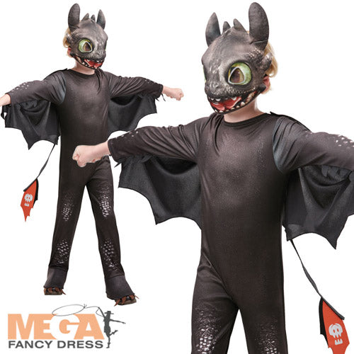 Boys Toothless Dragon Fancy Dress Costume