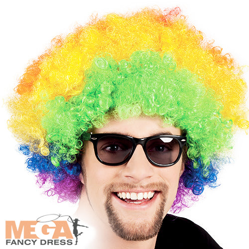 Multi-Coloured Afro Wig Fun Party Hairpiece