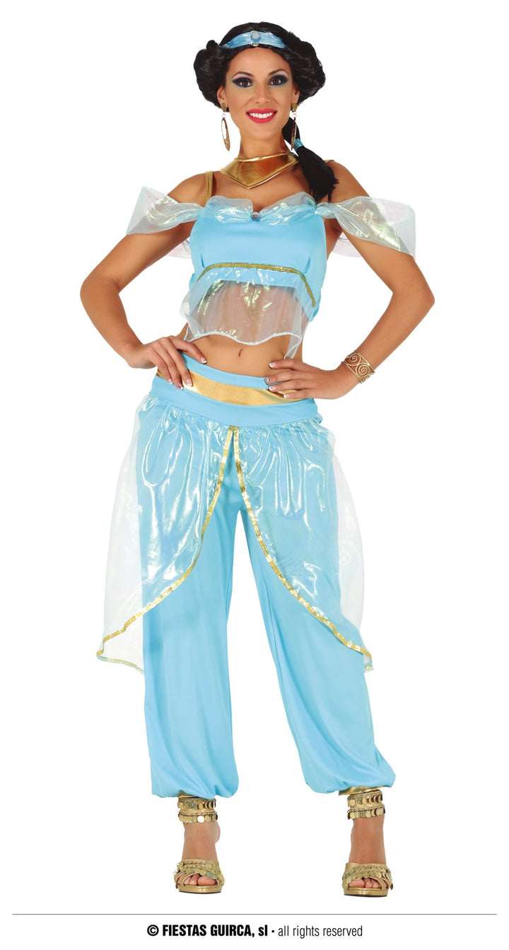 Enchanting Ladies Princess Jasmine Fancy Dress Costume