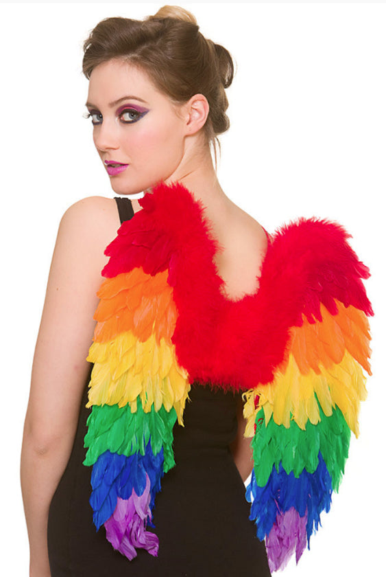 Adults Rainbow Feather Pride Festival Angel Costume Wings