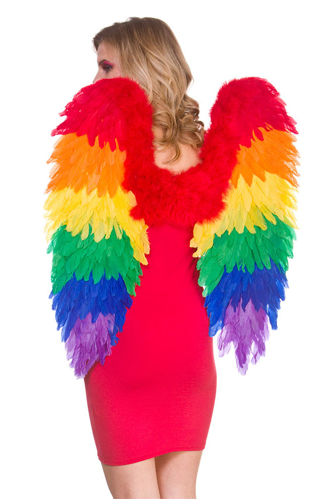 Large Rainbow Feather Wings Fantasy Costume Accessory