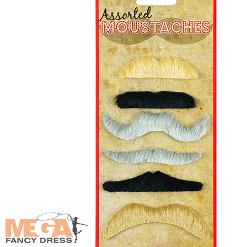 Assorted Moustache Set