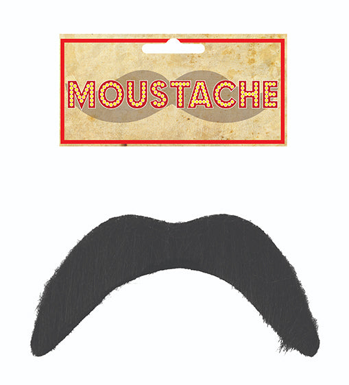 Moustache Costume Accessory