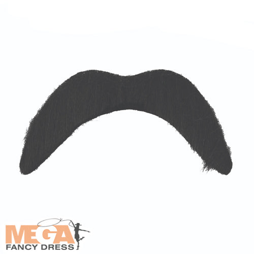 Moustache Costume Accessory