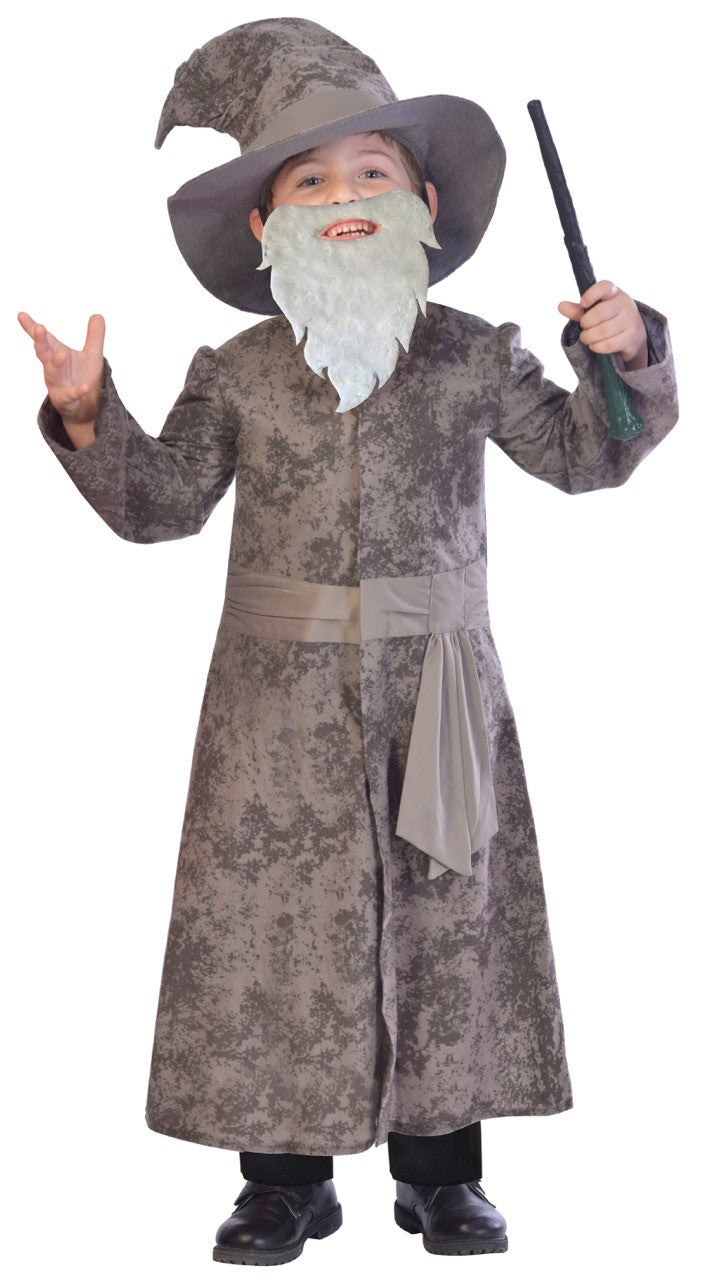 Boys World Book Day Wise Wizard with Wand Costume