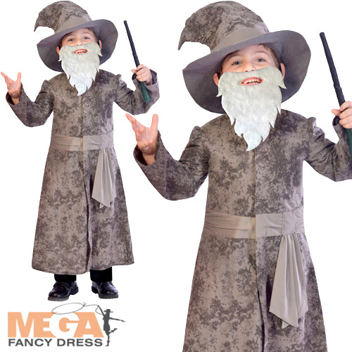 Boys World Book Day Wise Wizard with Wand Costume