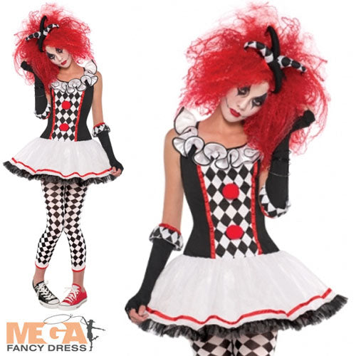 Ladies Harlequin Honey Halloween Circus Jester Costume