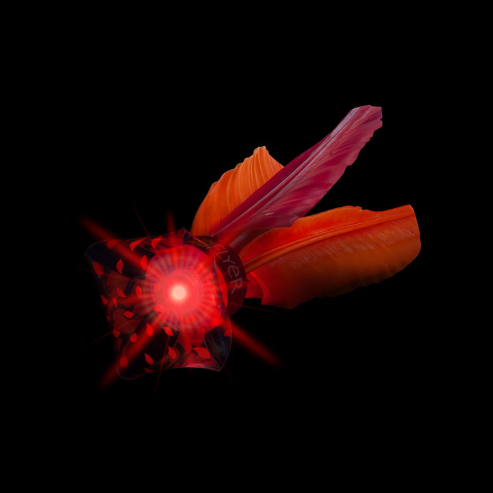 Waboba LED Flyer