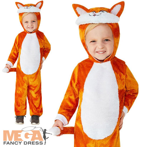 Kids Ginger Cat Pet Animal World Book Day Costume