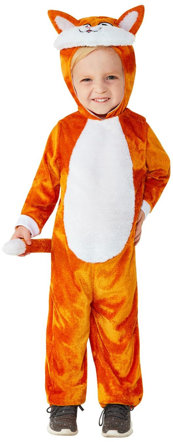 Kids Ginger Cat Pet Animal World Book Day Costume