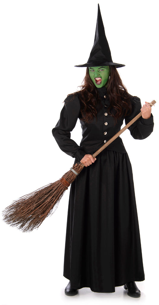 Wicked Witch Womens Fancy Dress Costume
