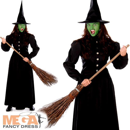 Wicked Witch Womens Fancy Dress Costume