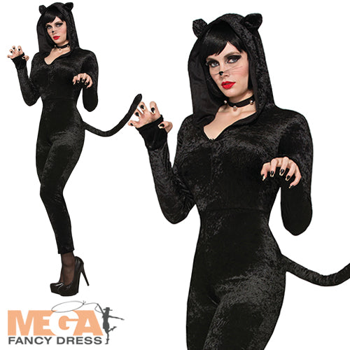 Sly Kitty Cat Ladies Costume
