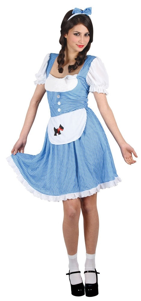 Ladies Dorothy Fairy Tale Character World Book Day Costume