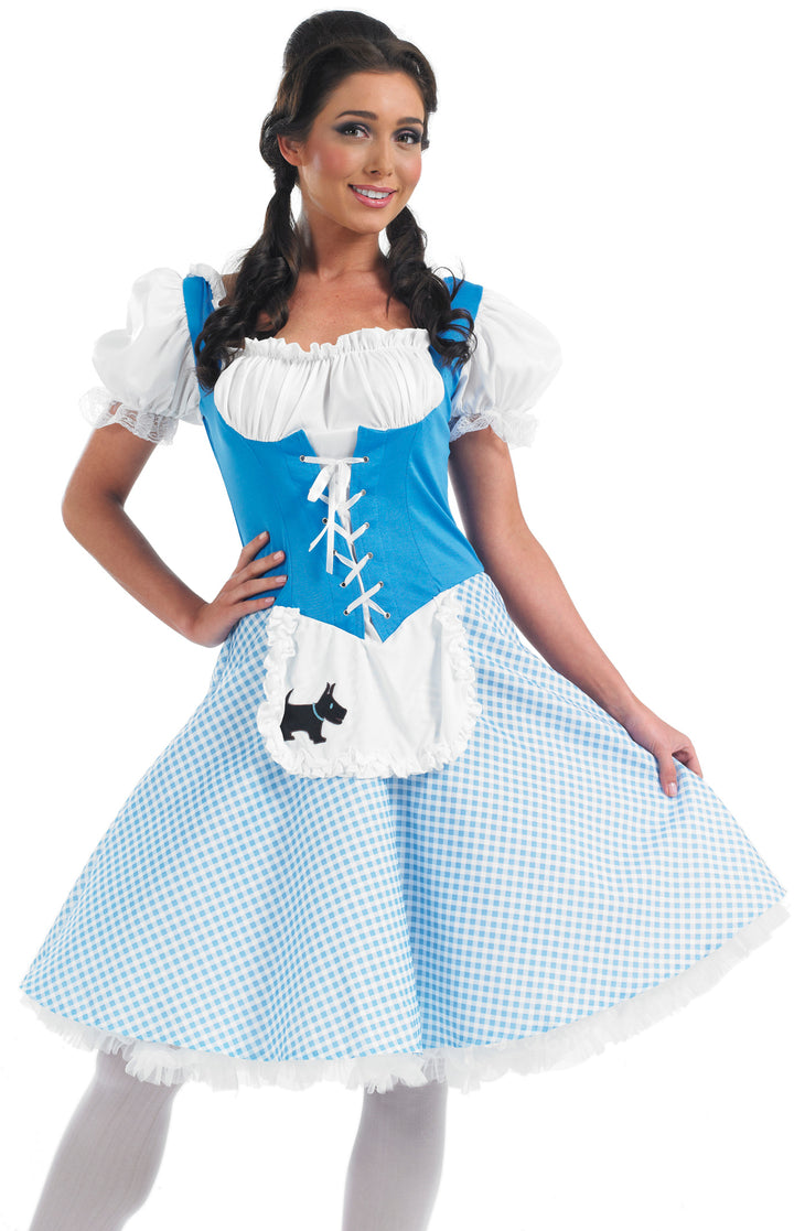 Ladies Dorothy Oz Fairy Tale World Book Day Character Costume