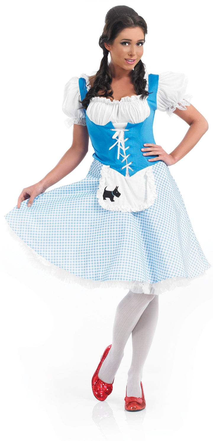 Ladies Dorothy Oz Fairy Tale World Book Day Character Costume