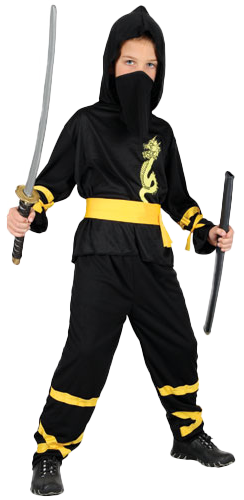 Boys Dragon Ninja Halloween Japanese Samurai Fighter Fancy Dress Costume