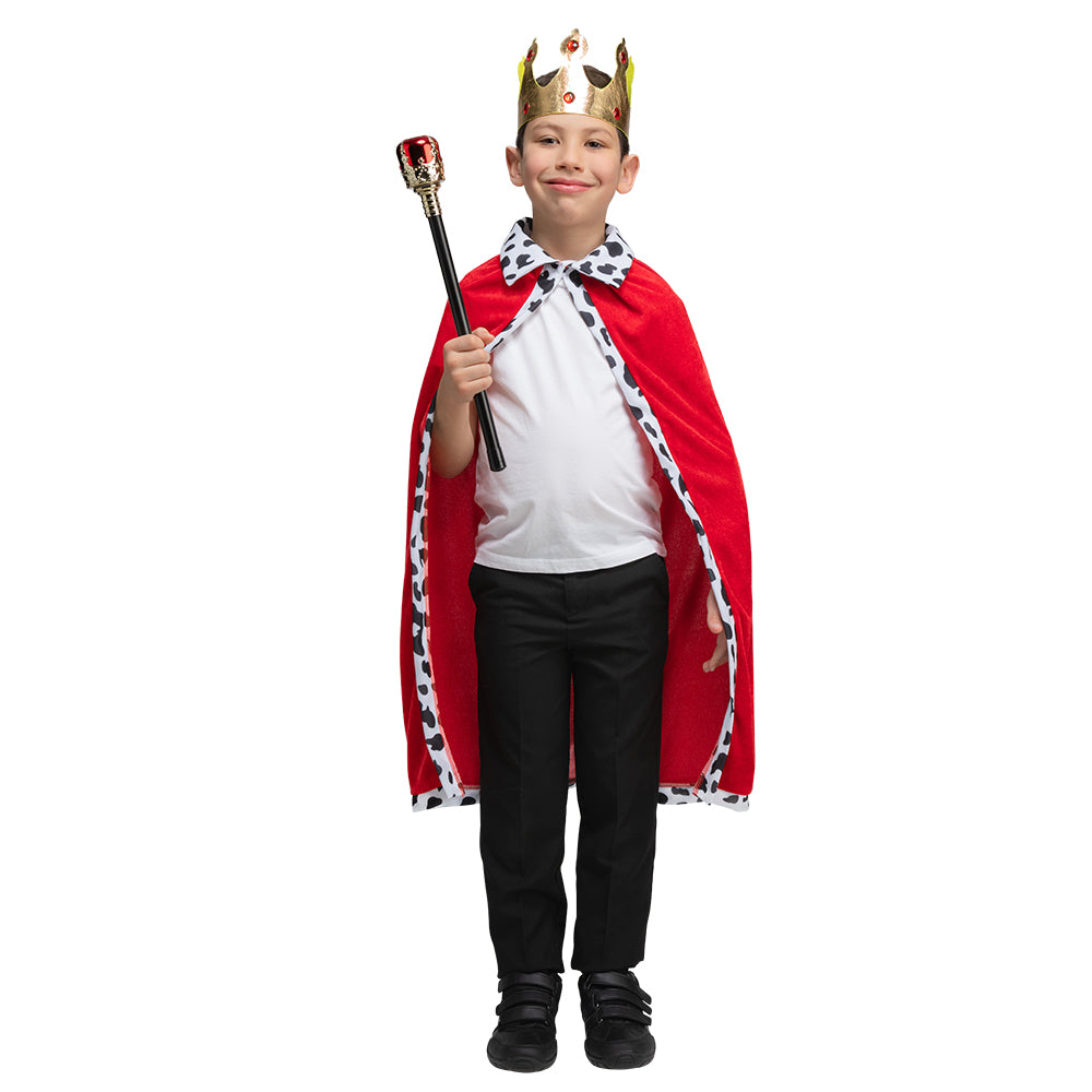 Boys Medieval Knight Tudor Crusader Fancy Dress Costume