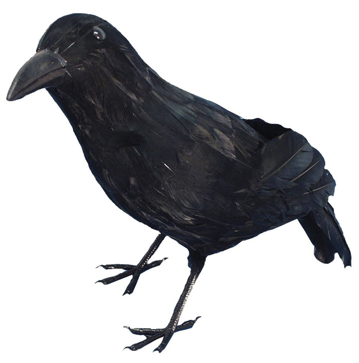Black Raven Crow Feathered Halloween Blackbird Fancy Dress Bird Prop