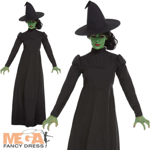 Wicked Witch Ladies Fancy Dress Costume Halloween