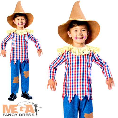 Boys Oz Fairytale Scarecrow Book Day Costume