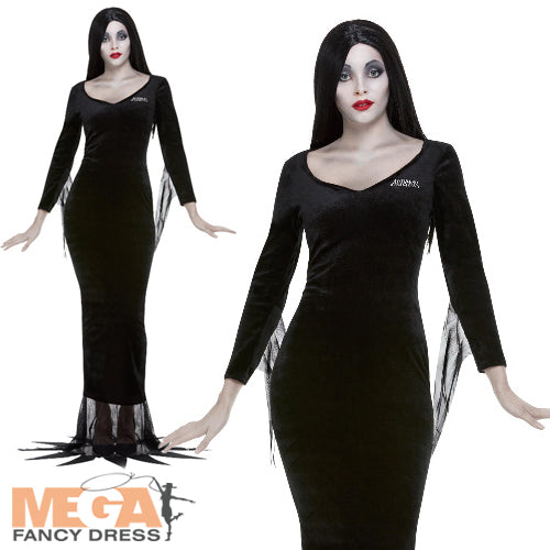 Morticia Addams Family Costume TV Show Outfit