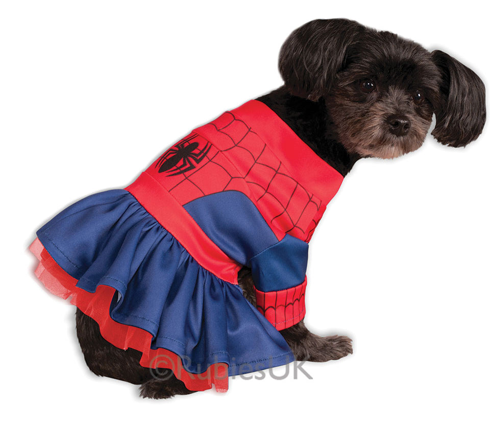 Spider Girl Pet Dog Costume Superhero Pet Outfit