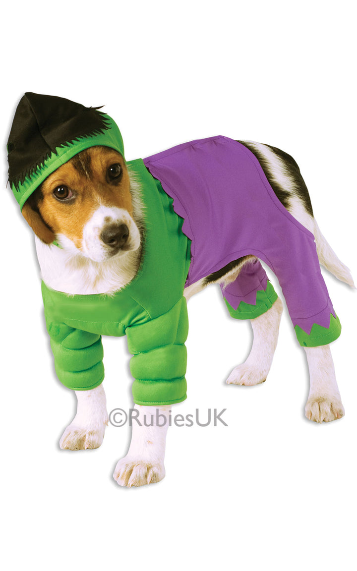 Hulk Pet Dog Costume