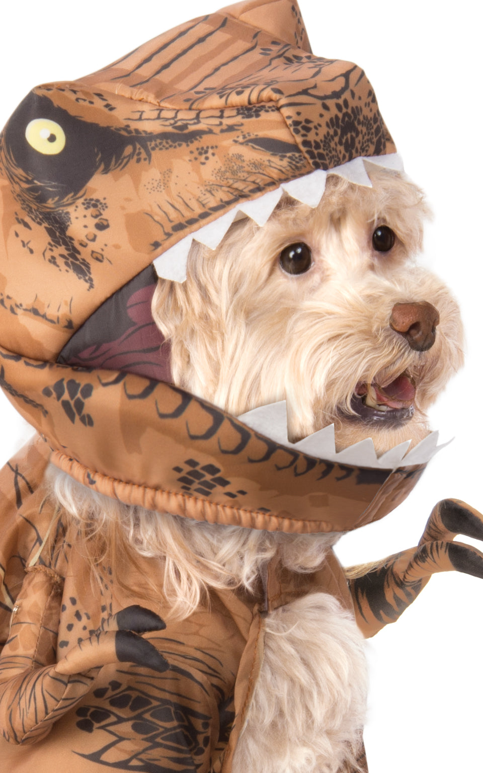 T-Rex Pet Costume