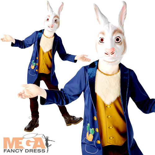 Mr Rabbit Boys Costume