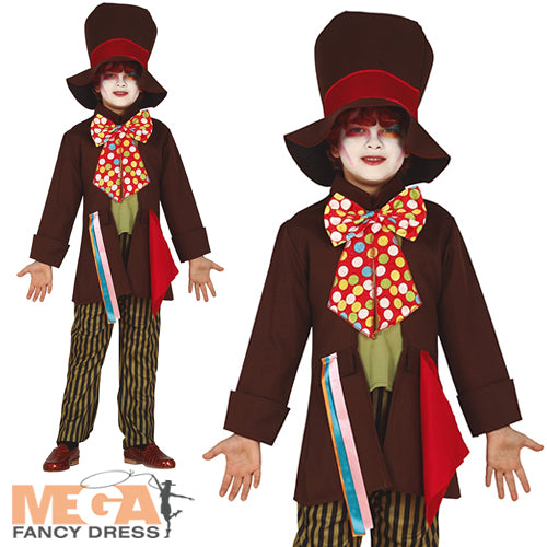 Boys Wonderland Fairy Tale Crazy Hatter Book Day Costume