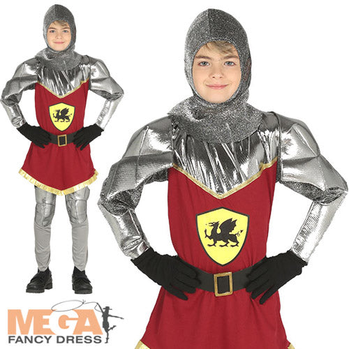 Boys Dragon Knight Medieval Solider World Book Day Costume