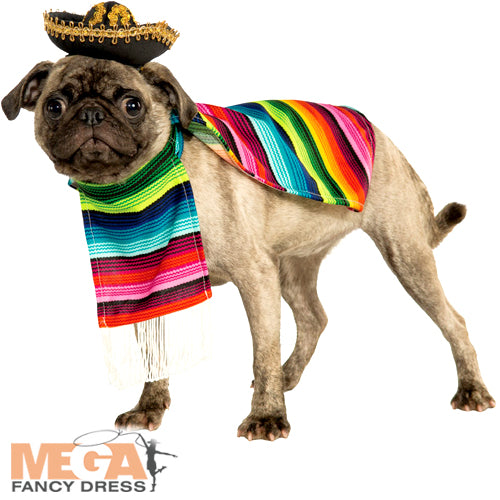 Mexican Dog Serape + Sombrero Puppy Fancy Dress Halloween Pet Costume