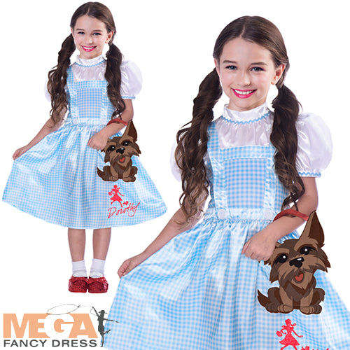 Girls Dorothy Wizard of Oz Fairy Tale World Book Day Costume