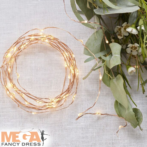 Rose Gold LED String Lights Romantic Lighting