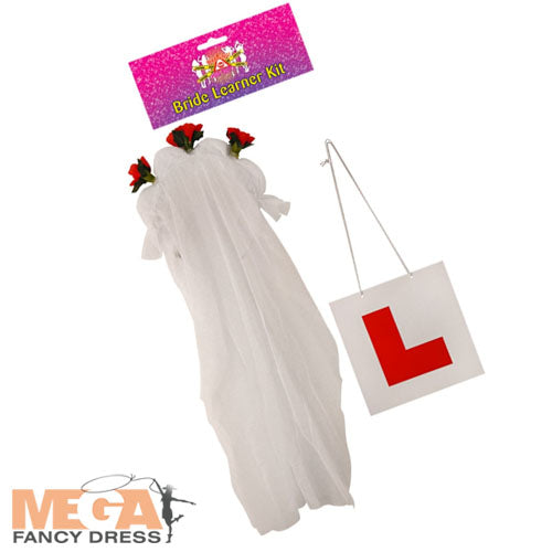 Veil Hen Night Party Kit Bridal Shower Accessory